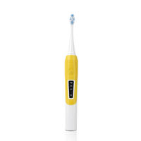 Best China MAYZE MZ-201805 professional electric toothbrush Rechargeable
